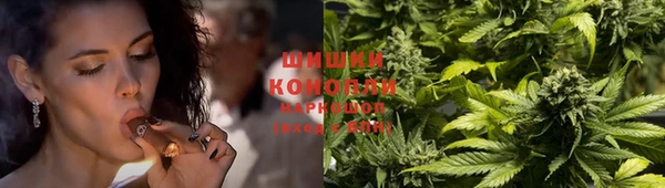 спайс Беломорск