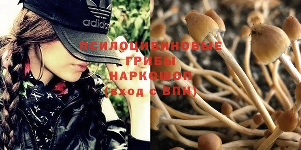 стафф Сатка
