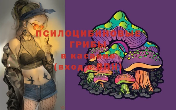 меф Дегтярск