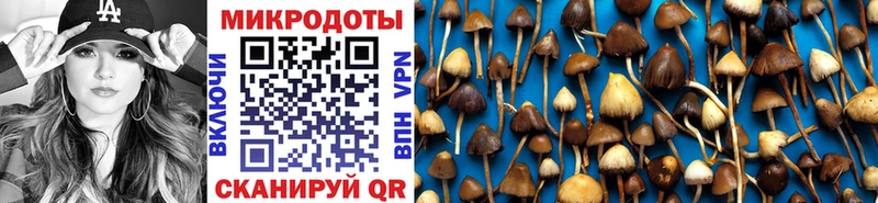 продажа наркотиков  Оха  Псилоцибиновые грибы Psilocybe 